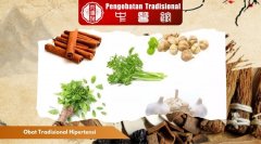 Obat Tradisional Hipertensi: Ramuan Alami Turunkan Darah Tin