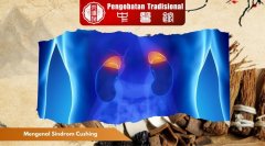 Mengenal Sindrom Cushing serta Dampaknya bagi Tubuh