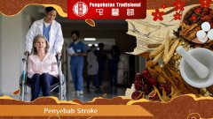 Faktor Penyebab Stroke: Dari Gaya Hidup hingga Genetika