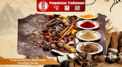 Terapi Herbal dan Alami untuk Pemulihan Stroke