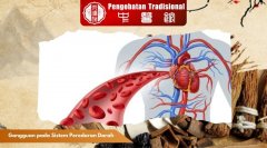 Jenis Gangguan pada Sistem Peredaran Darah